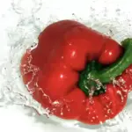 Opsesija čistim jedenjem Ortoreksija