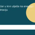 Kako šećer u krvi utječe na energiju i koncentraciju